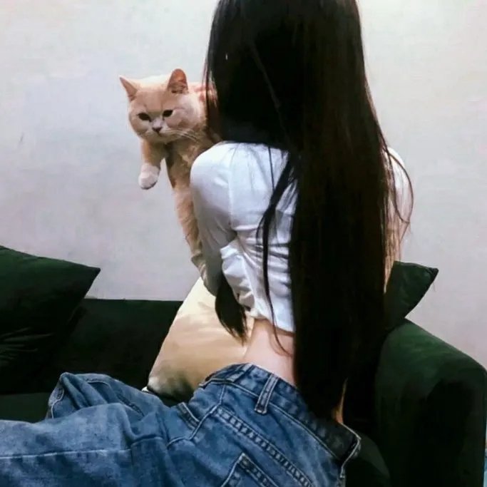 再见，拿破仑